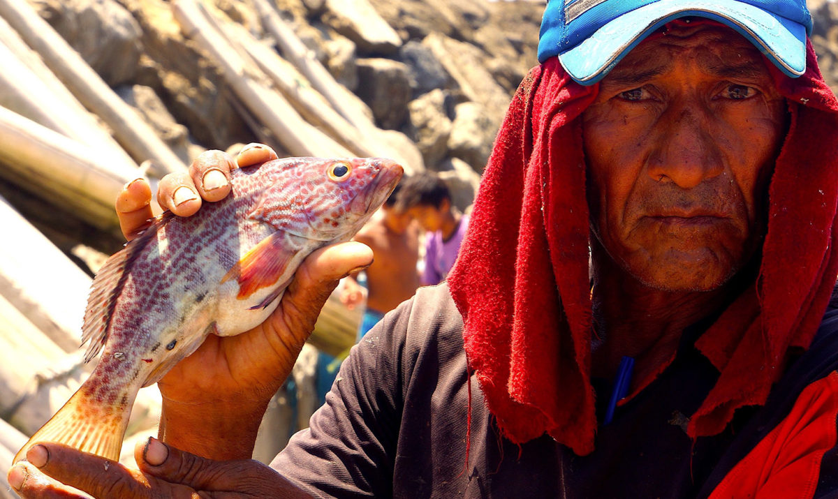 El Nuro fisherman: “We cannot expect to have healthy oceans when we most marine species are suffering from overfishing.” Photo credit: Enrique Ortiz.