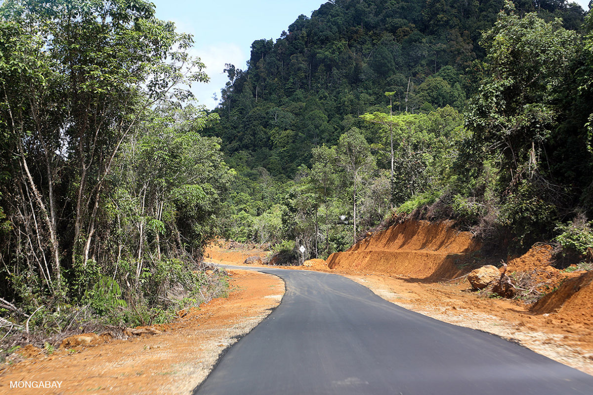 Road in Indonesian Borneo. Photo credit: Rhett A. Butler