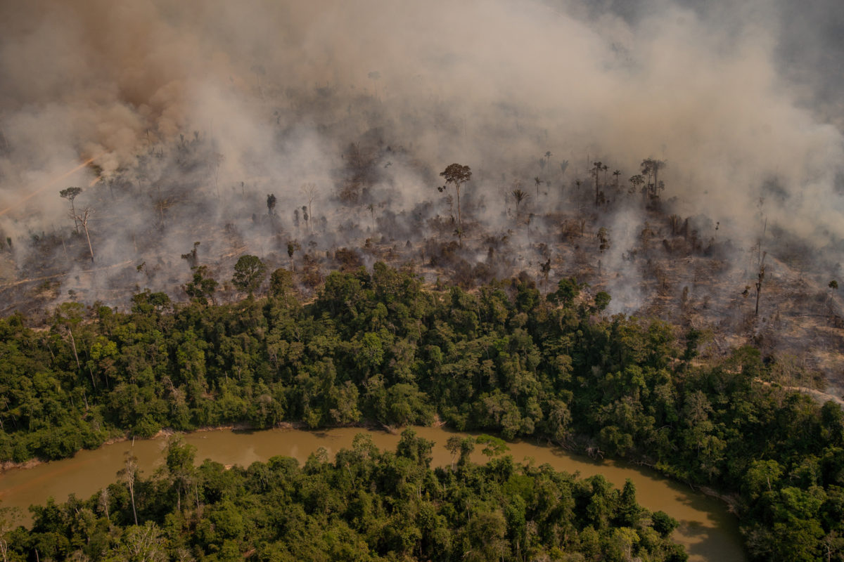 Fire near the Branco river in the Jaci-Parana Extractive Reserve, in Porto Velho, Rondonia state. Taken 16 Aug, 2020. CREDIT: Christian Braga / Greenpeace