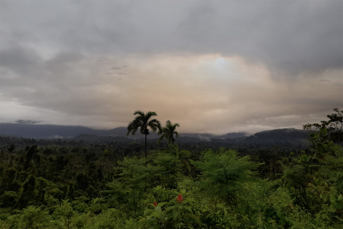 Mayangna territory in Nicaragua. Photo credit: the government of the Sumu Mayangna nation