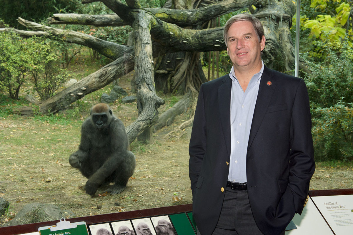 WCS President and CEO Dr. Cristián Samper is pictured at the Bronx Zoo’s Congo Gorilla Forest, an exhibit which opened in 1999. Photo credit: Julie Larsen Maher / WCS