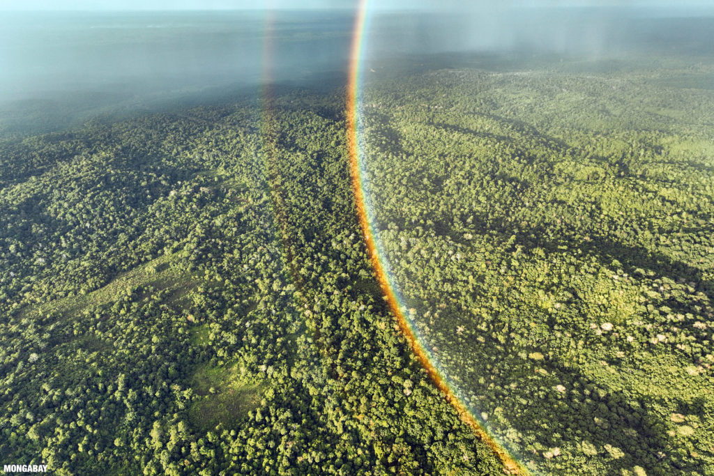 Rainbow over forest and oil palm plantations