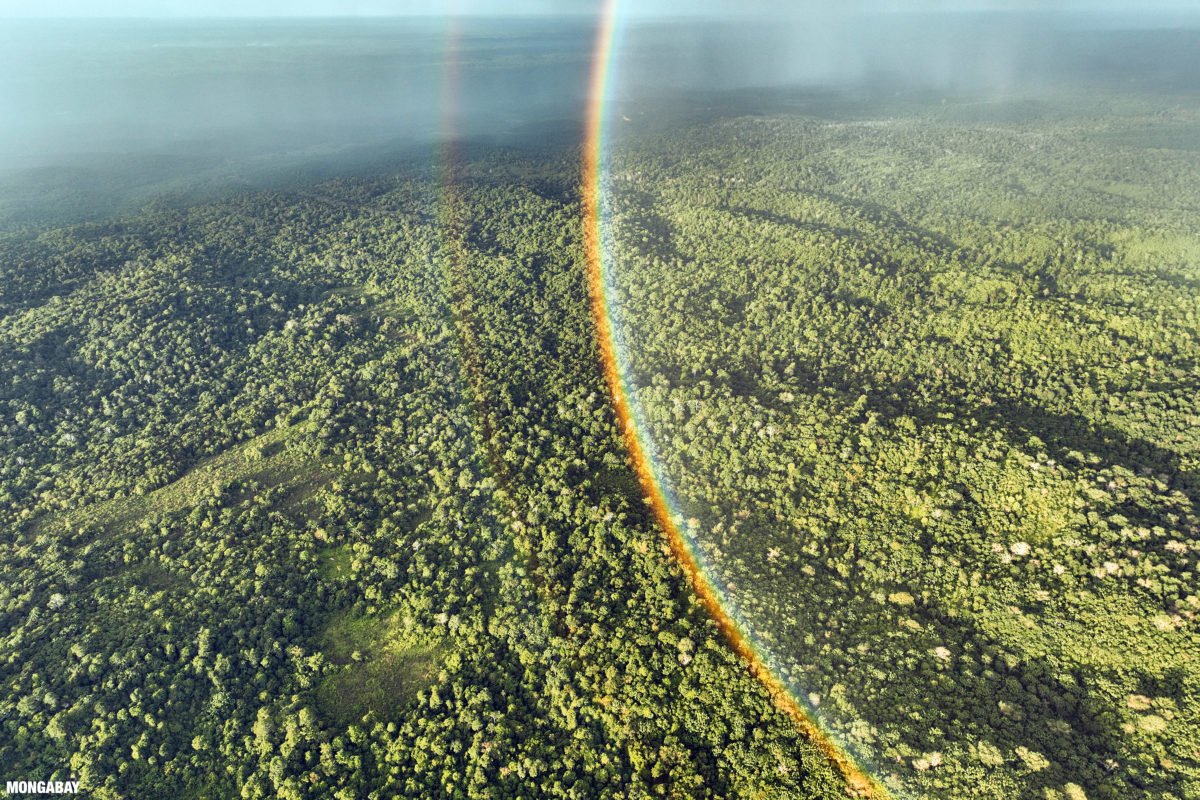 Rainbow over forest and oil palm plantations