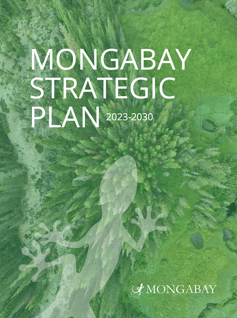 Mongabay strategic plan