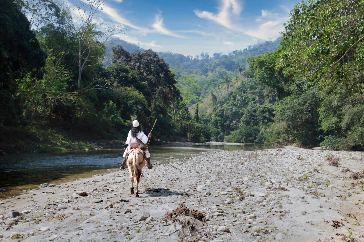 Danilo Villafañe in the Sierra Madre in Colombia in 2010. Photo by Rhett A. Butler