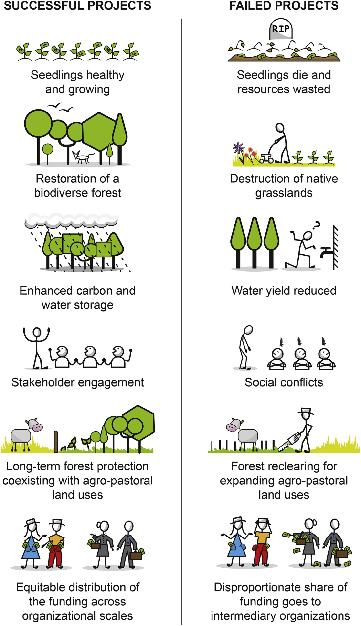 Reforestation projects are booming, but transparency is rare