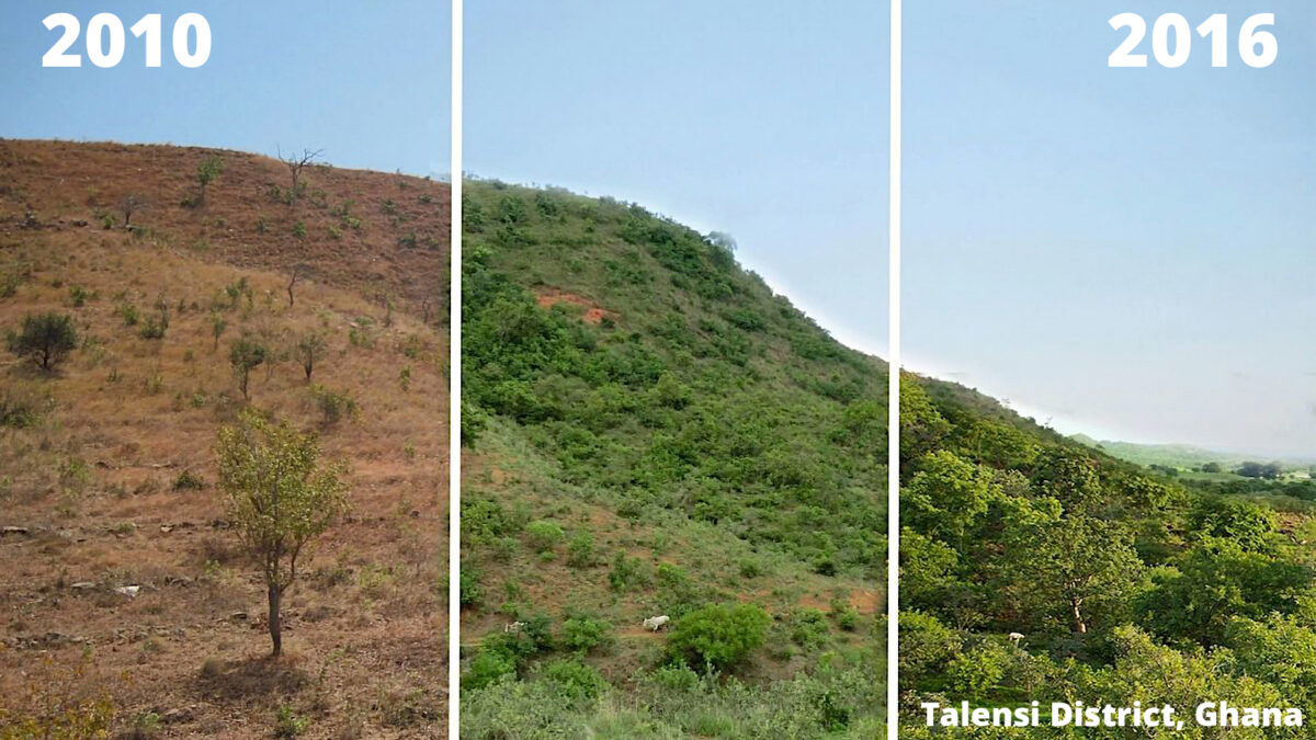 Photo: Results of farmer-managed natural regeneration (FMNR) in Talensi District, Ghana, from 2019-2022. Image courtesy of World Vision.