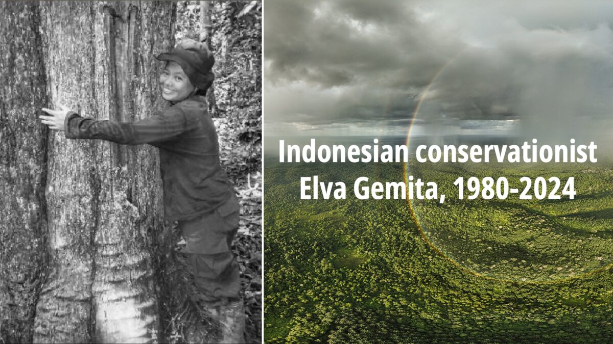 Elva Gemita.