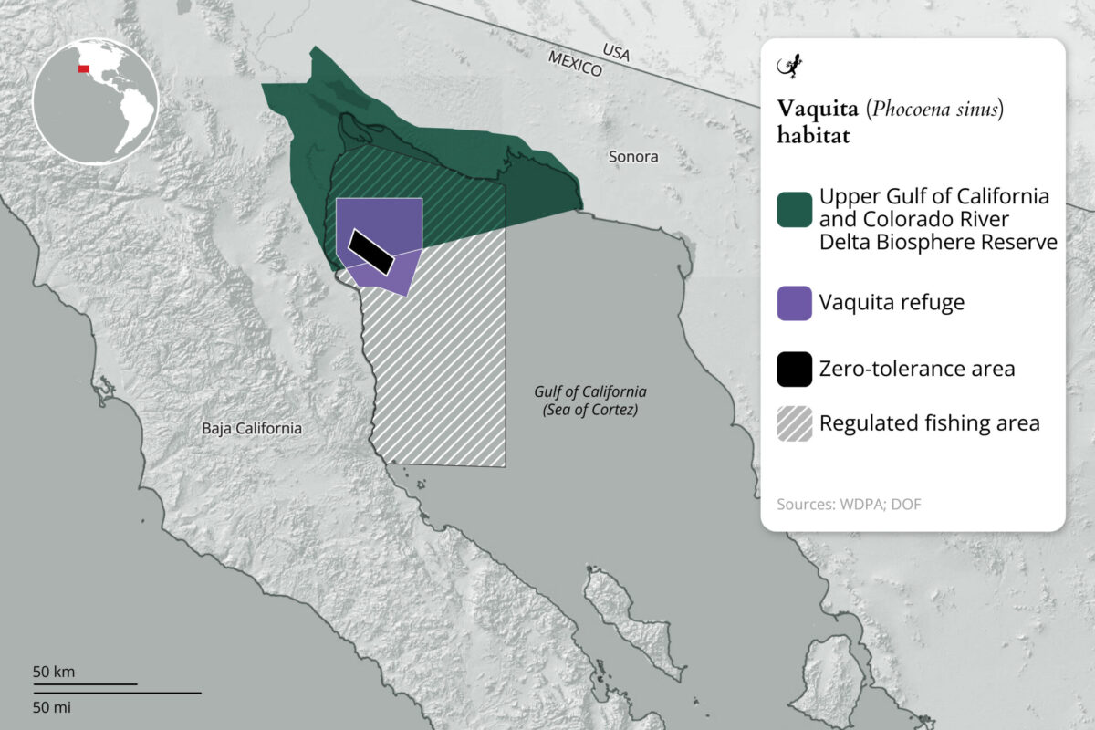 Map of the vaquita conservation zone