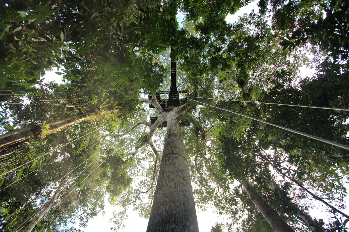 Canopy tower in Colombia