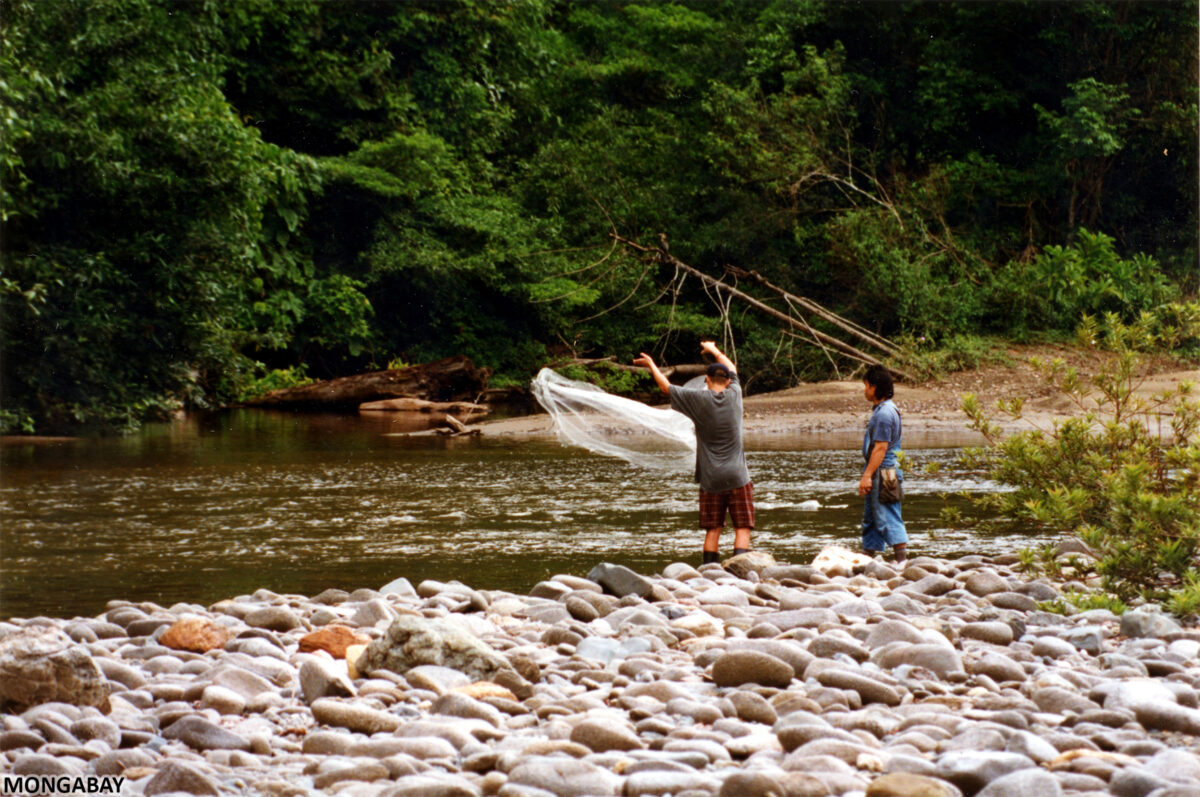 Me with an Indigenous Dayak guide in Borneo in 1995.