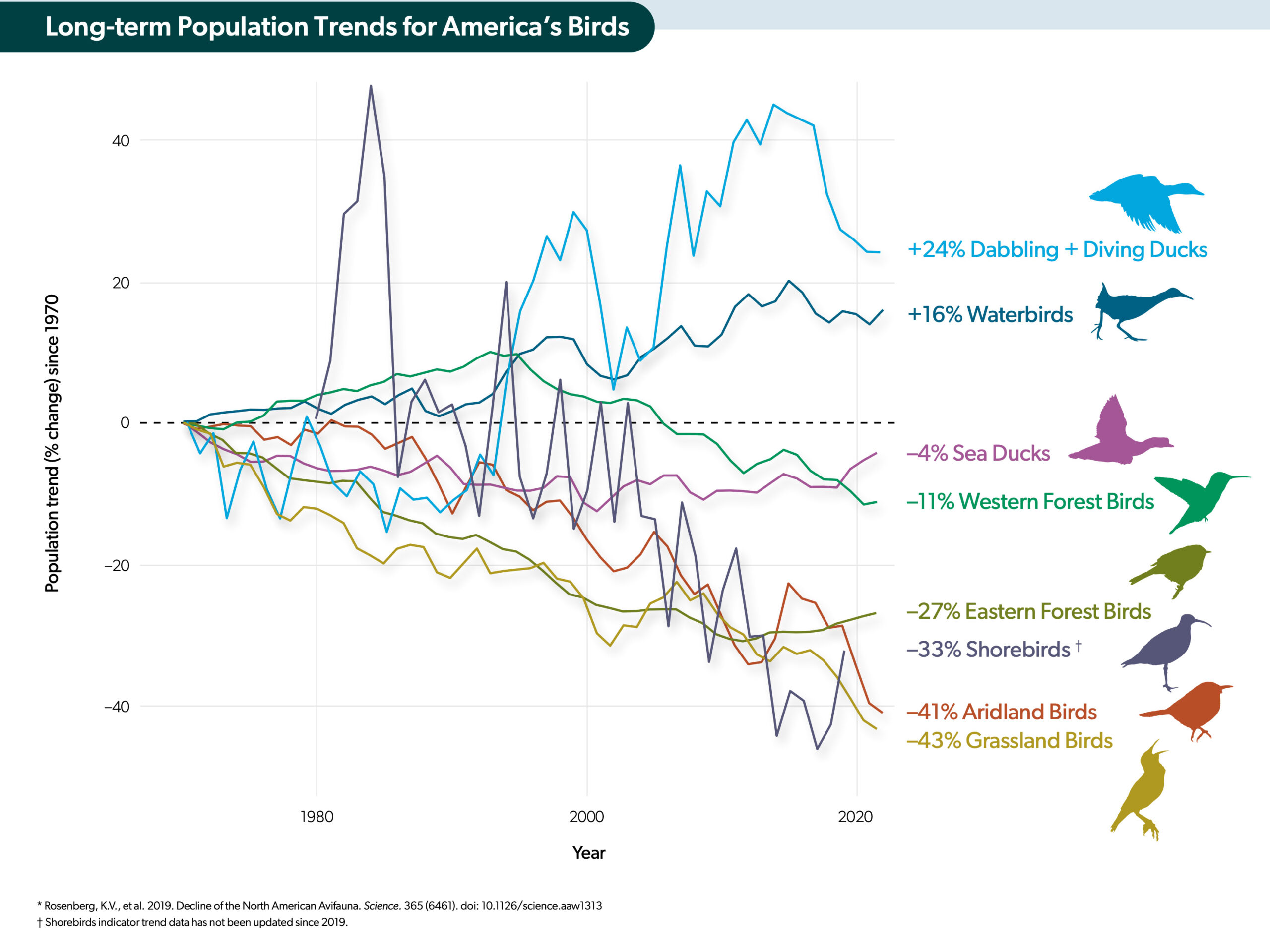 Graphic from the bird report