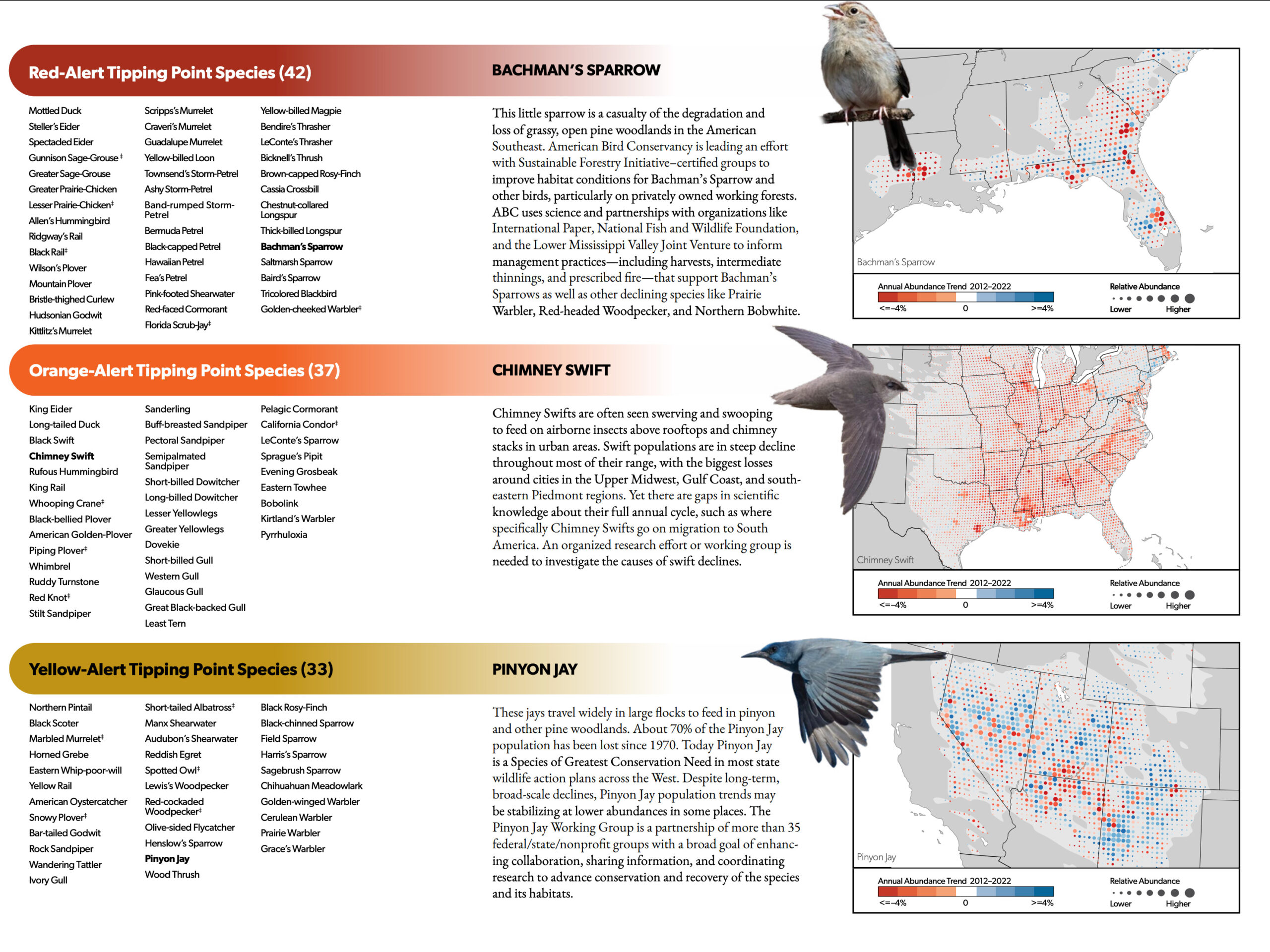 Graphic from the bird report