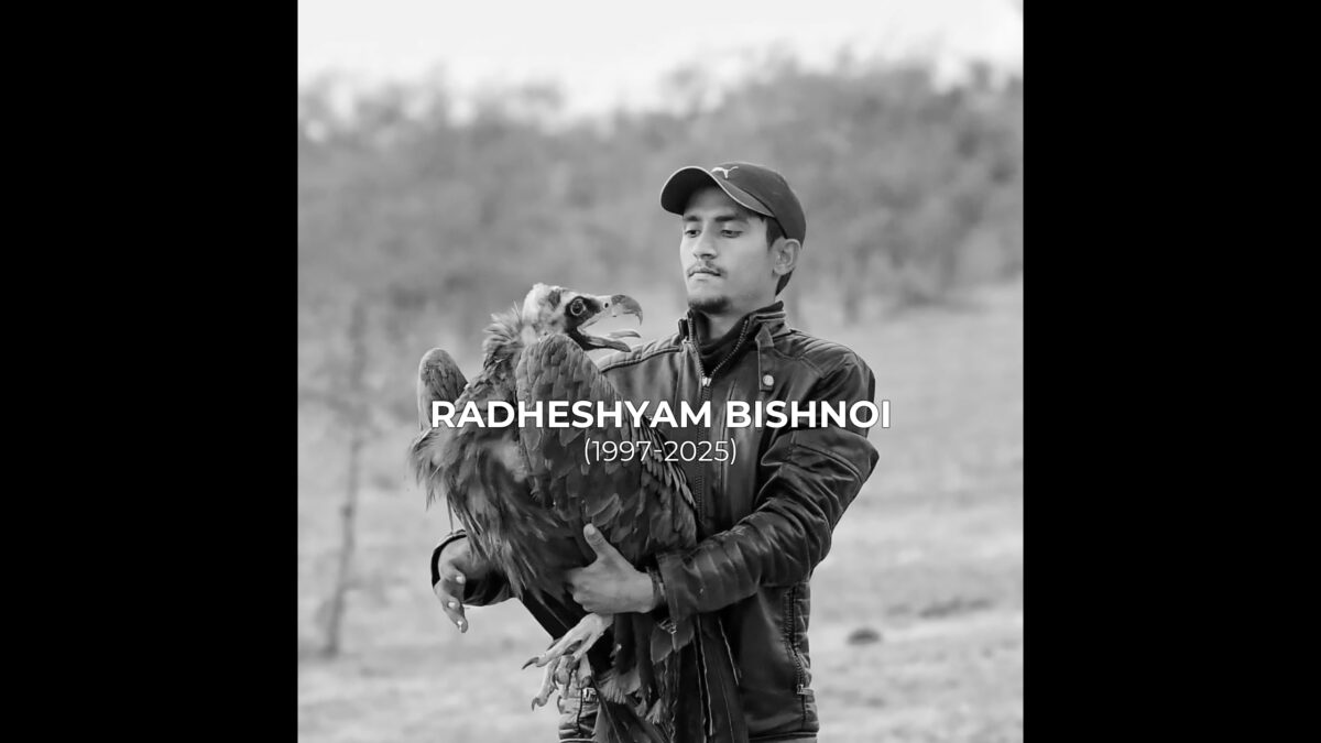 Radheshyam Bishnoi. From his Instagram page.