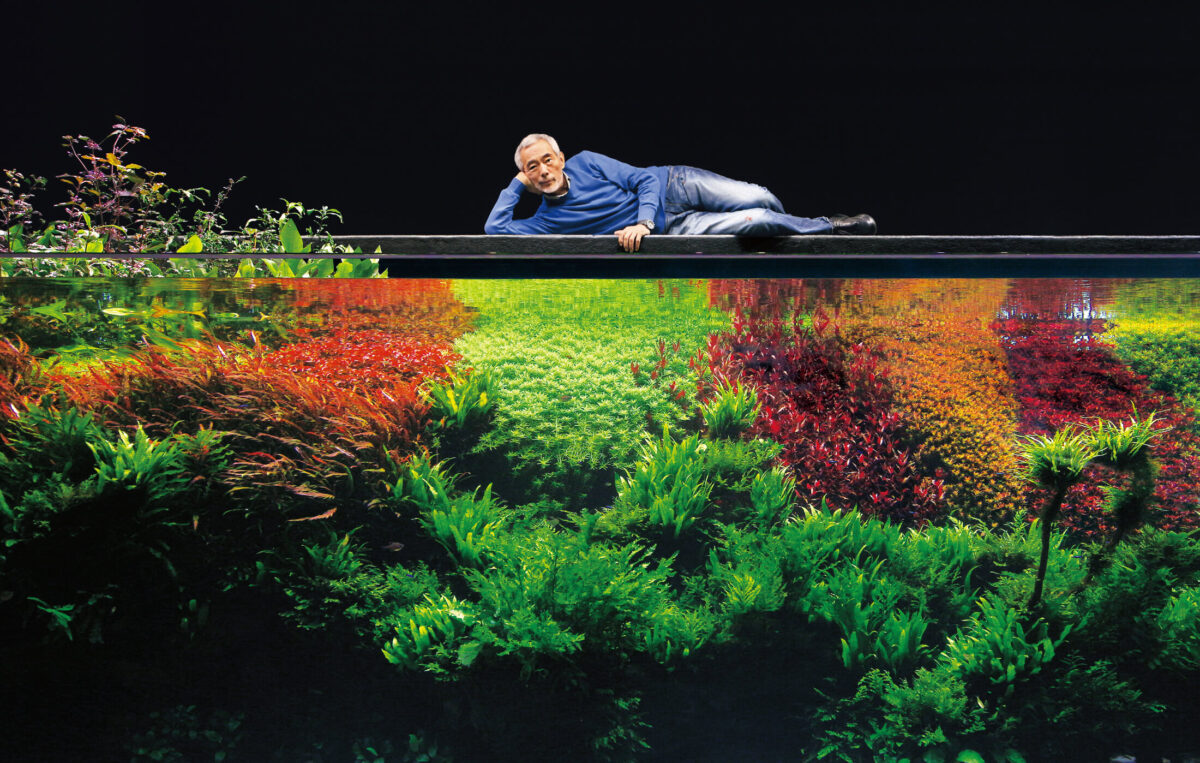 Takashi Amano atop a massive aquarium. Photo courtesy of Aqua Design Amano (ADA)