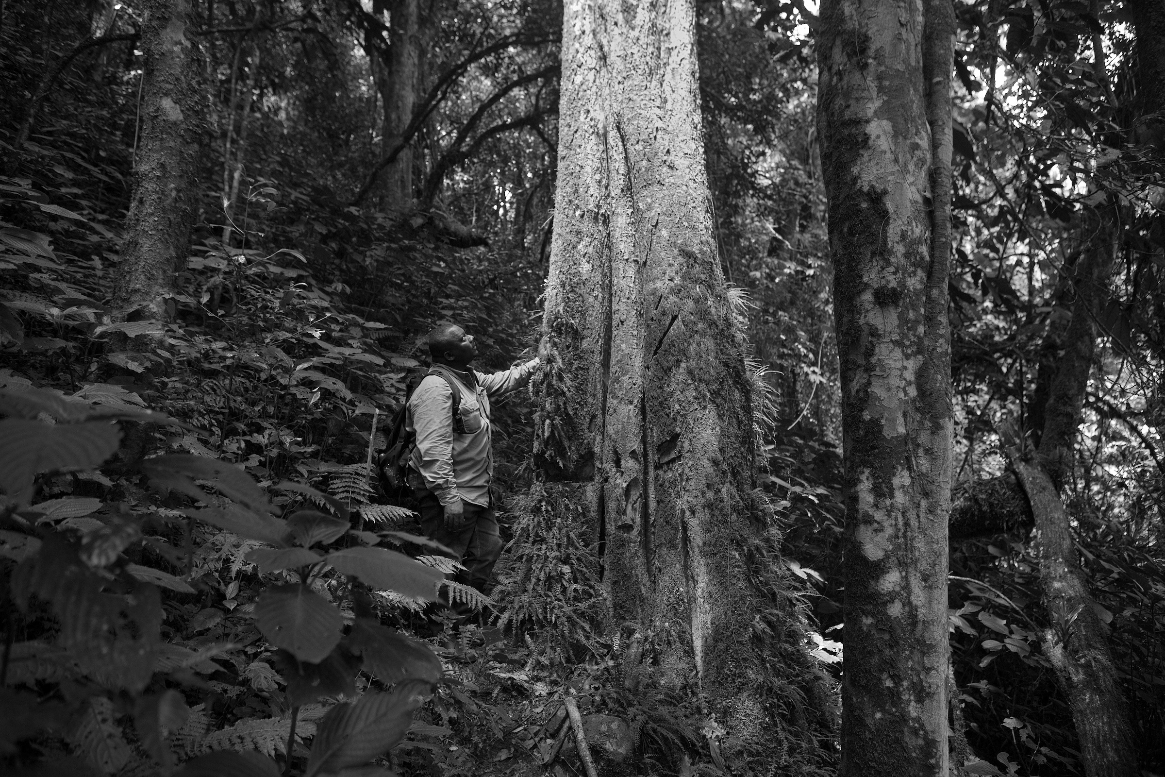Augustin K. Basabose. Image by Allison Shelley for Wild Earth Allies