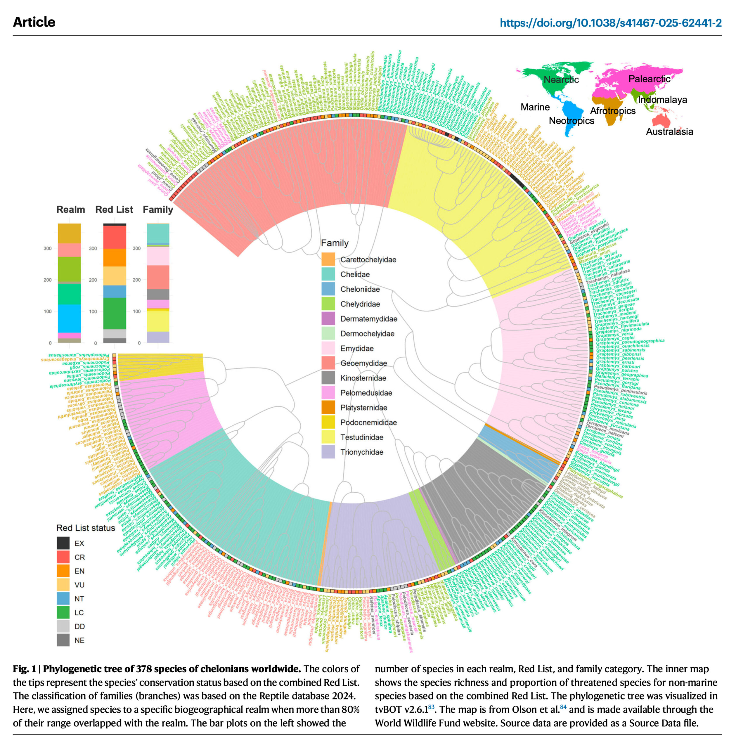 The colors of the tips represent the species’ conservation status based on the combined Red List. The classification of families (branches) was based on the Reptile database 2024. Here, we assigned species to a specific biogeographical realm when more than 80% of their range overlapped with the realm. The bar plots on the left showed the number of species in each realm, Red List, and family category. The inner map shows the species richness and proportion of threatened species for non-marine species based on the combined Red List.
