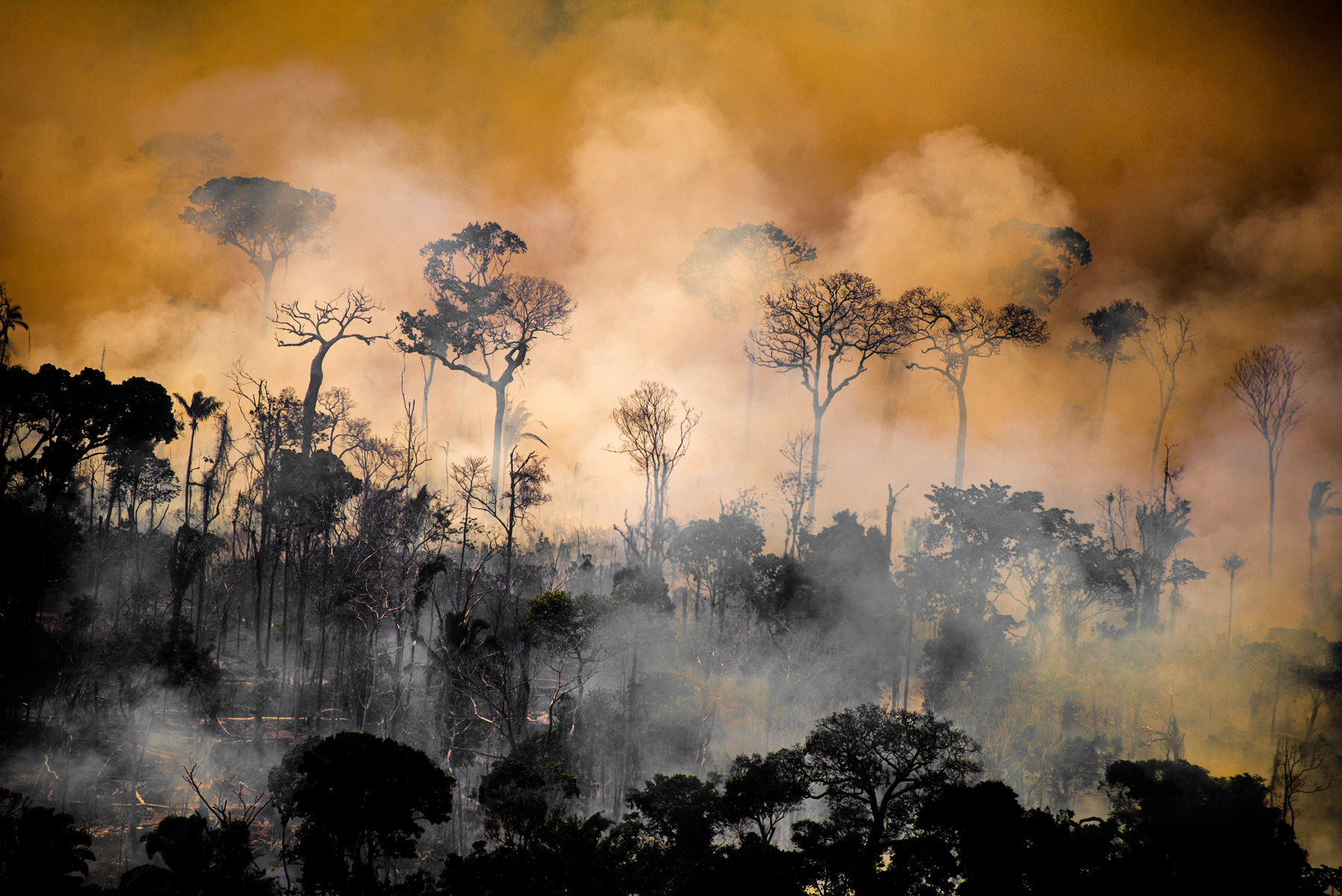 Fire next to the borders of the Kaxarari Indigenous territory, in Labrea, Amazonas state. Taken 17 Aug, 2020. CREDIT: Christian Braga / Greenpeace