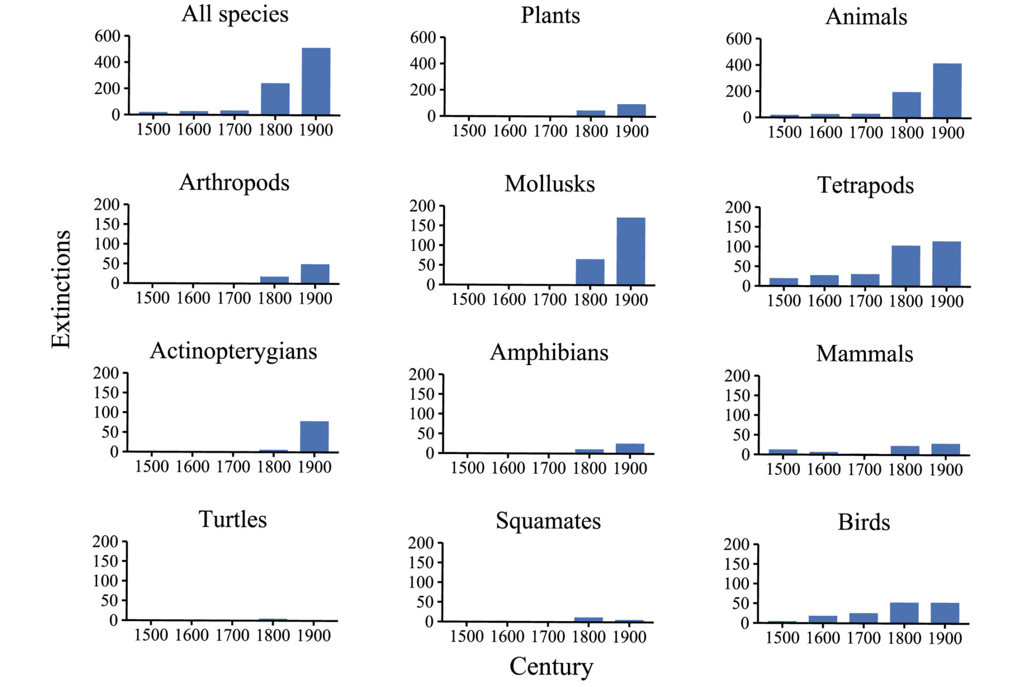What a new analysis of extinction data tells us about the state of life ...
