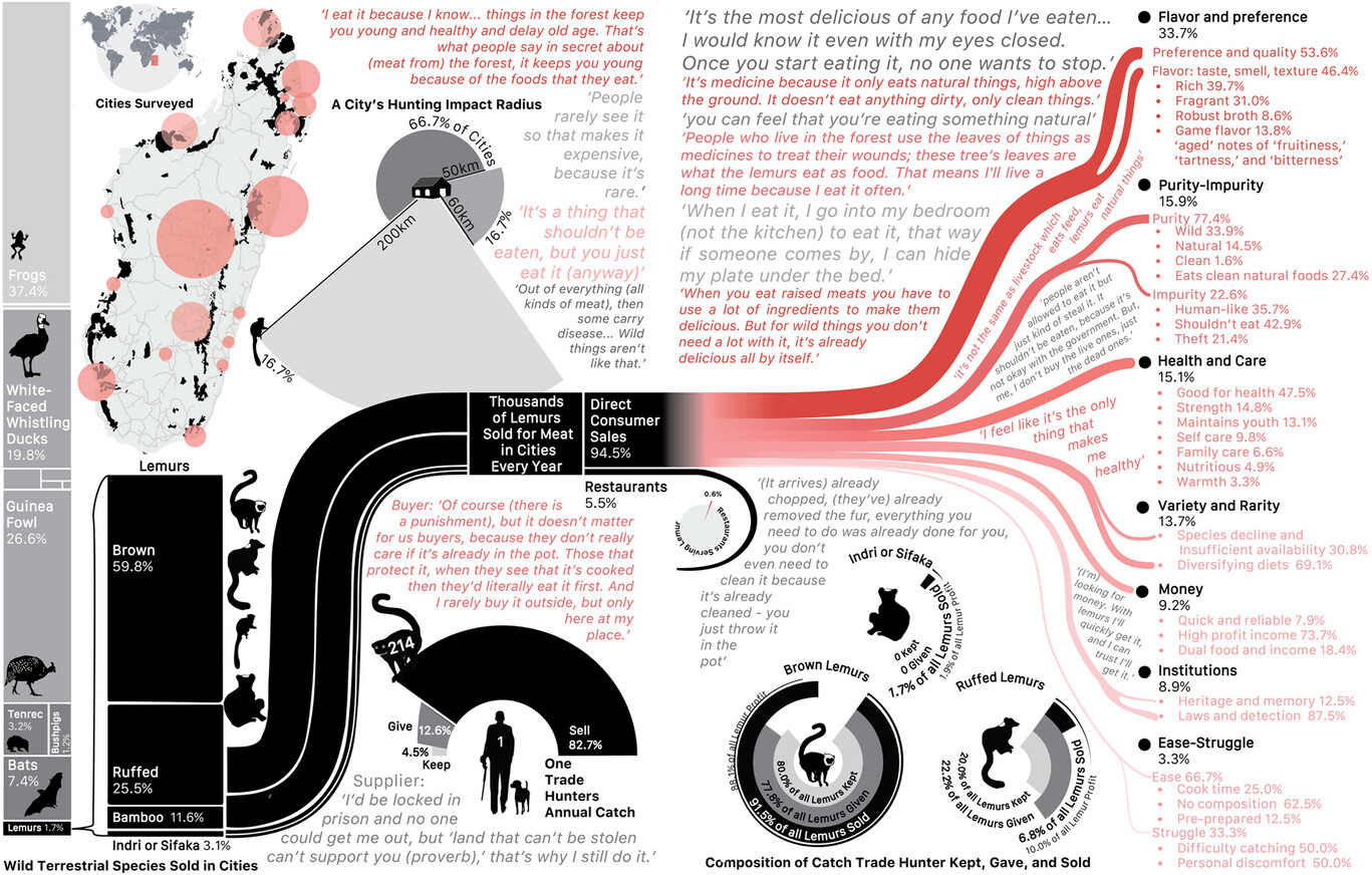 Madagascar’surbanlemurmeattrade(2022–2024).