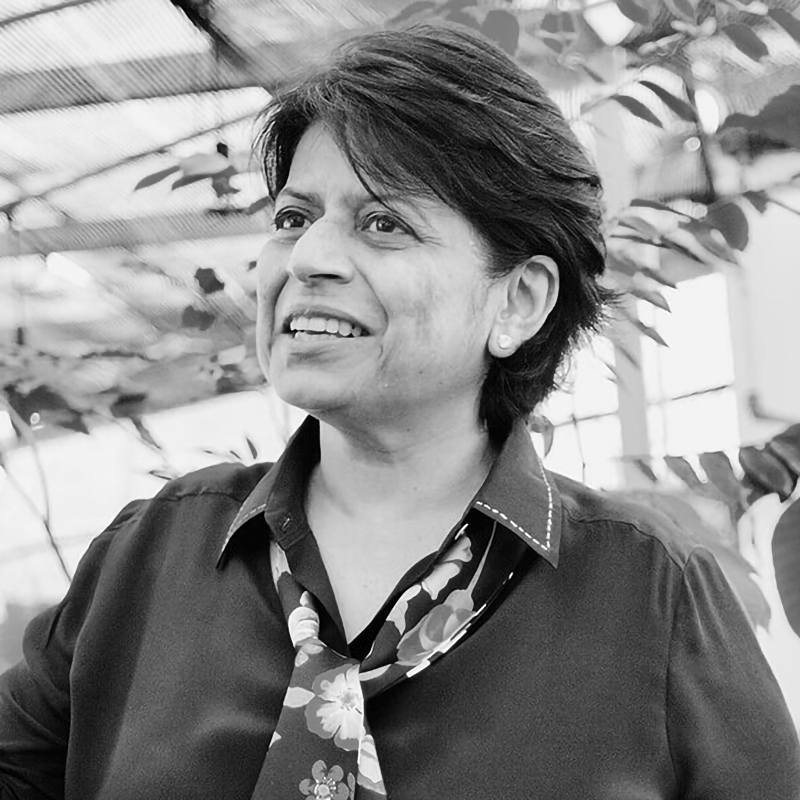 Kirtida Mekani. Photo courtesy of the Singapore Women’s Hall of Fame