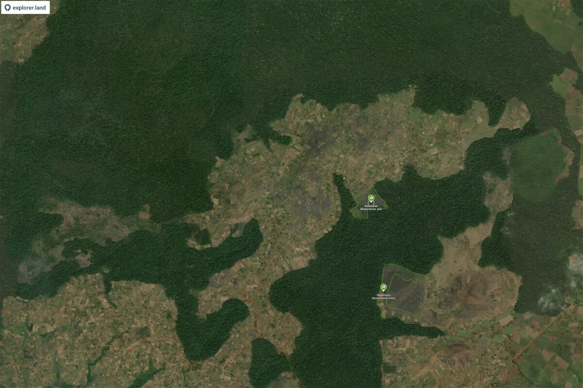 The Jane Goodall Institute's wildlife corridor linking the Budongo and Bugoma forests. Published on Explorer.land