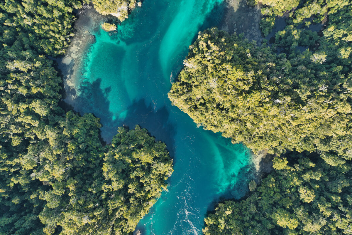 Wallace's Passage between Gam and Waigeo islands in Raja Ampat, West Papua. My photo