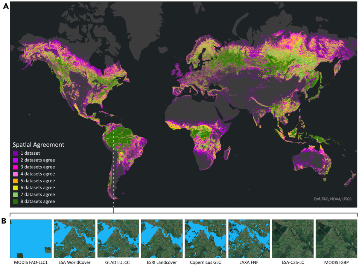 A) Spatial agreement of forest cover classifications between eight land cover datasets. Spatial agreement is defined as the number of datasets that define a pixel as forest, between 1 and 8. Full agreement between all eight datasets corresponds to a value of eight (dark green), and no agreement between the datasets corresponds to a value of 1 (dark purple). No color (gray) indicates that none of the datasets classified the area as forest. All data are from the year 2019 except for ESA-WC and GLAD-LCLUC, which are from 2020. (B) Illustrative case study of a random area (approximately 16 km2) selected in the country of Colombia showing how the eight different datasets captured forests and trees differently for the same area. Blue areas are where the datasets classified land cover as forested. Caption and figure courtesy of Castel et al (2026).