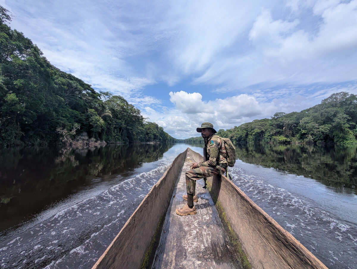 ICCN ranger in Salonga National Park, DRC. My photo