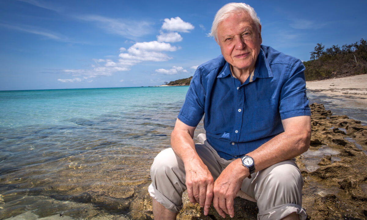 David Attenborough on Lizard Island, on the Great Barrier Reef. Photo by Freddie Claire/BBC/Atlantic Productions