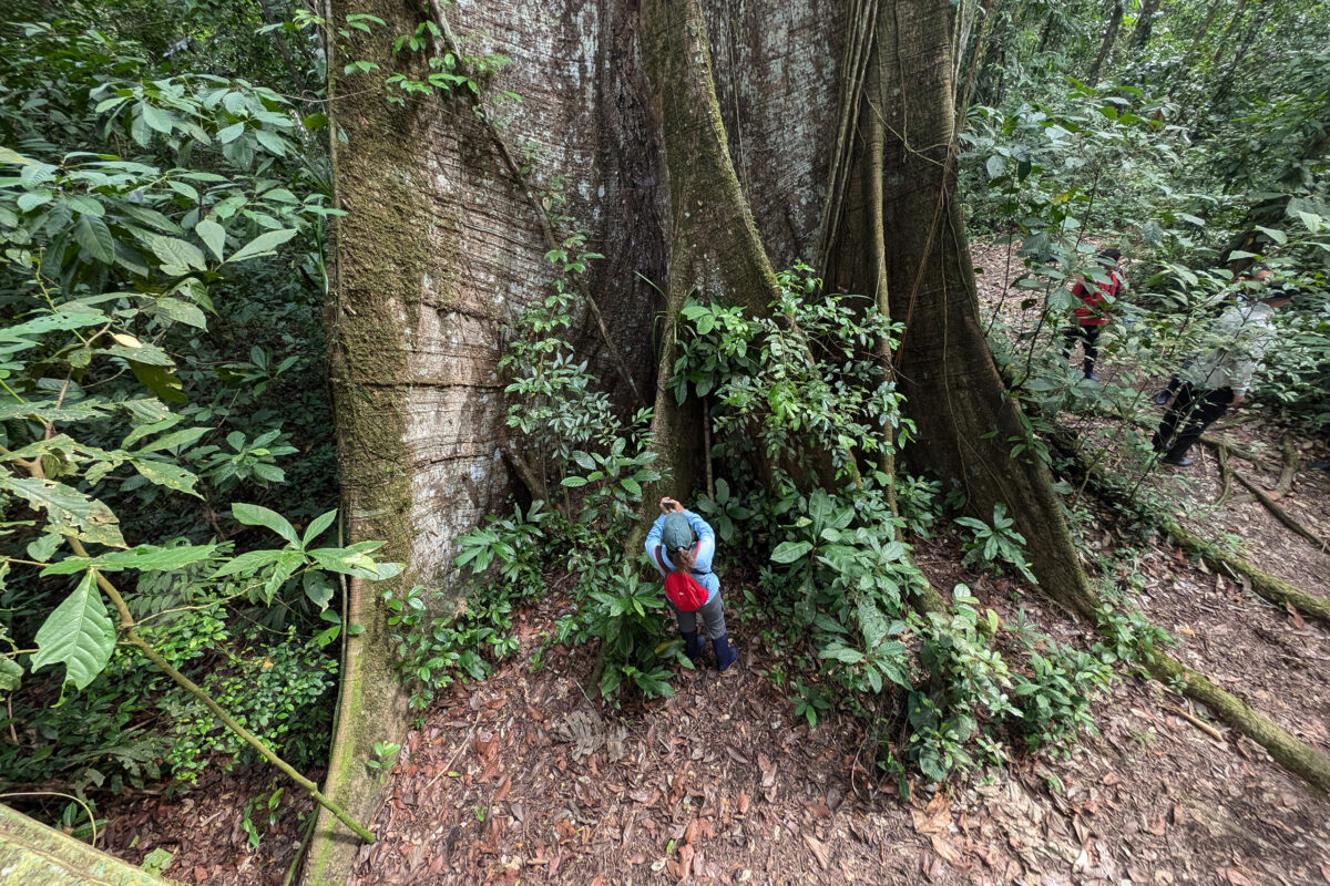 Journalist in the Amazon. My photo
