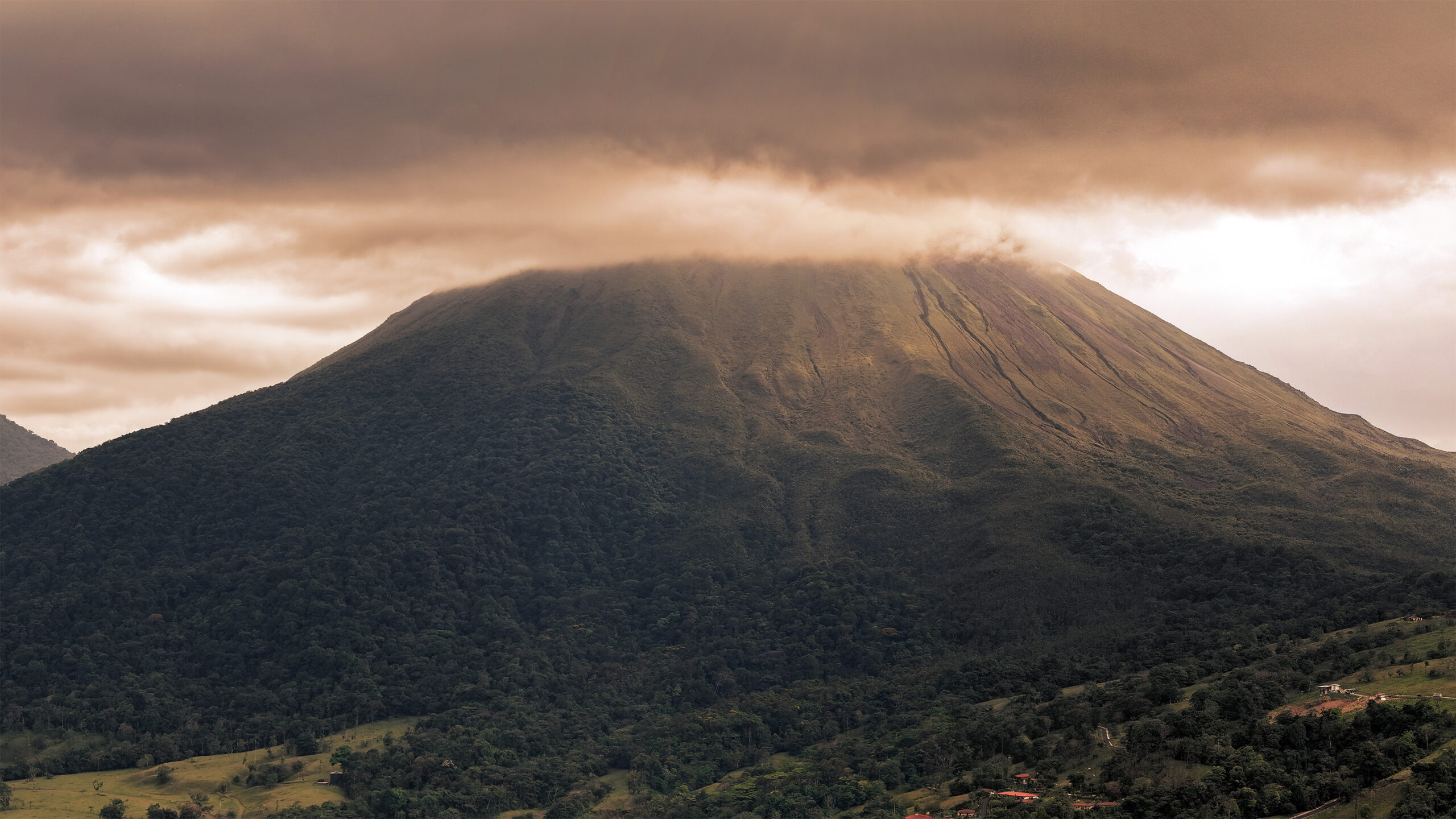 The missing skill in conservation isn’t science. It may be resilience.