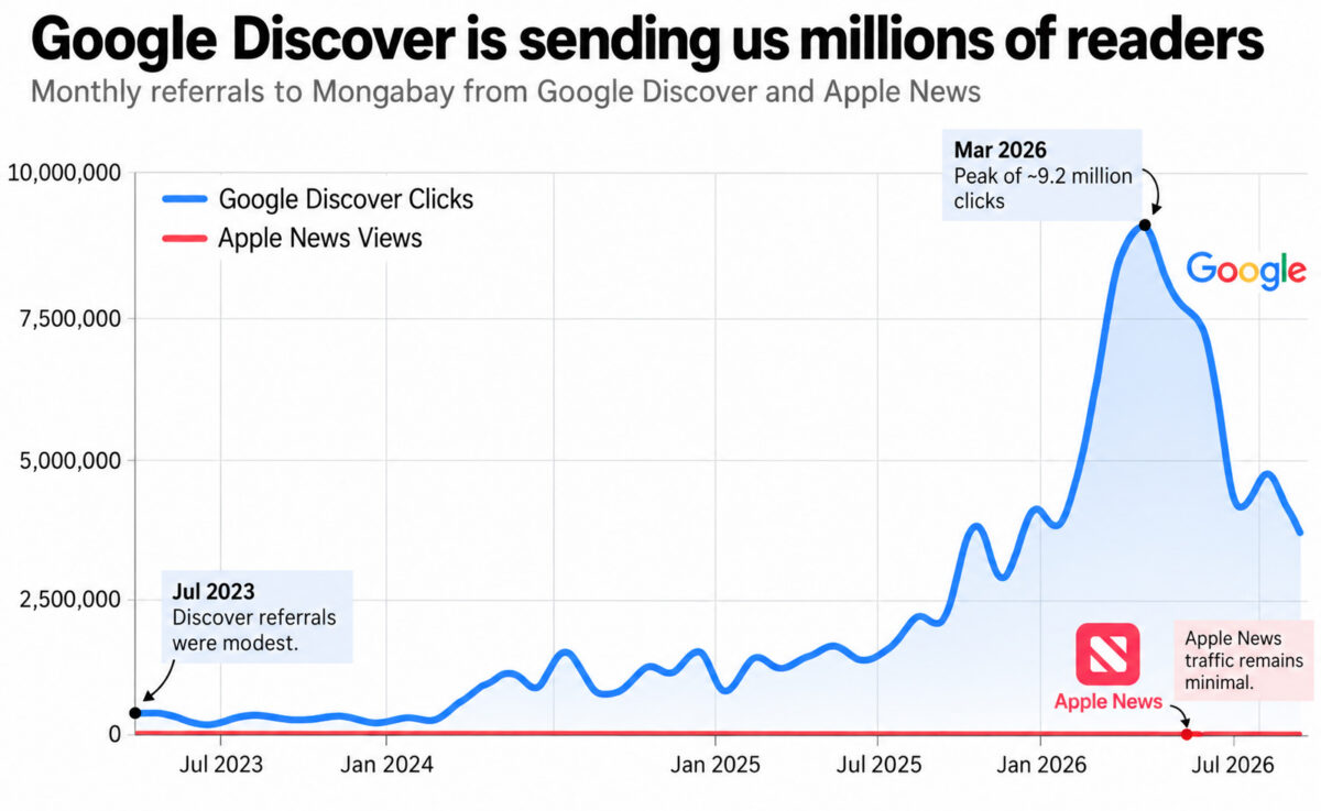 Google Discover traffic to Mongabay